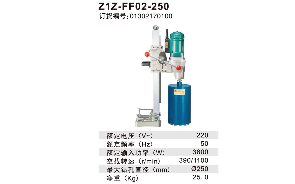 Z1Z-FF02-250　详情.jpg